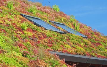 Norwood Hill living roof systems